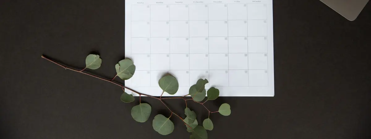 A blank monthly planner page on a dark desk beside a sprig of eucalyptus